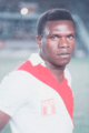 Pericoleon