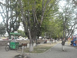 Archivo:Plaza de Armas de Cholchol