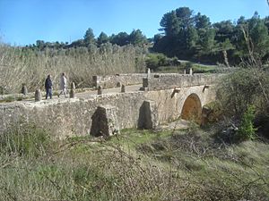 Archivo:Puente de la Coma (Sant Mateu)