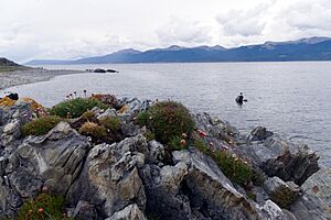 Archivo:PuertoAlmanza-TierradelFuego