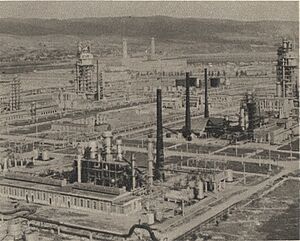 Archivo:Rafinaria din orasul Gheorghe Gheorghiu-Dej (Onesti)