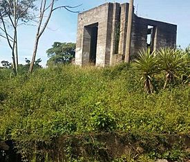 Ruinas Cerro Espíritu Santo Costa Rica.jpg