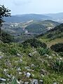 SIERRA DE ALAVAREZ SAN LUIS POTOSI MEXICO