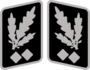 SS-Obergruppenführer collar until 1945.svg