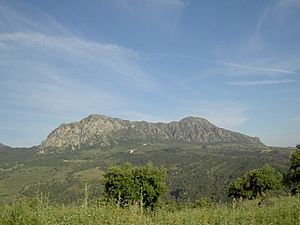 Archivo:Sierra Crestellina2