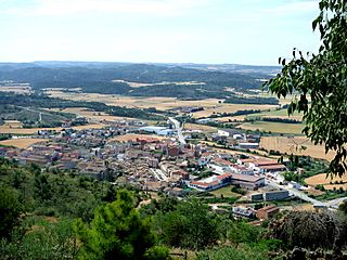 TORÀ DES DE L'AGUDA - IB-503.jpg