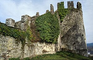 Archivo:TORRE DA FORTALEZA DE SARRIA