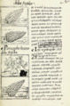 The Florentine Codex- Maize