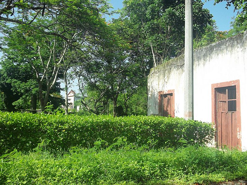 Tohopkú (Tekal de Venegas), Yucatán (04)
