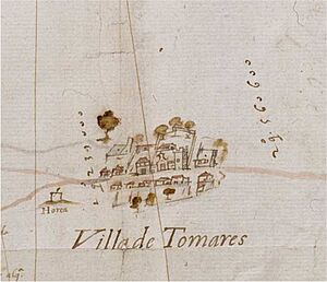 Archivo:Tomares