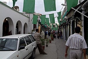 Archivo:Tripoli September 1st Flags