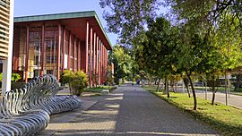 Universidad del Biobío.jpg