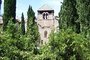 Archivo:Valladolid colegiata07 lou
