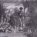 Vida Goldstein planting in 1911
