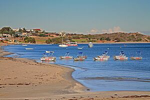 Archivo:00 1795. Kalbarri, Western Australia