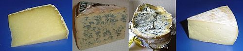Archivo:4 fromages d'auvergne