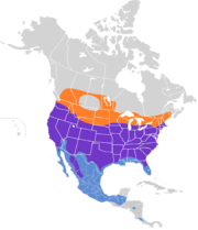 Accipiter cooperii map.svg