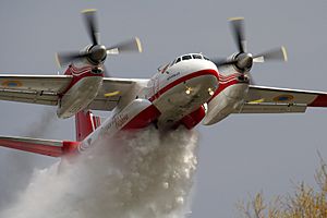 Archivo:Antonov An-32P Firekiller - Ministry of Emergency Situations of Ukraine