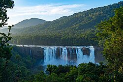 Athirappilly Waterfalls after the Monsoons.jpg