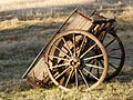 Australian cart