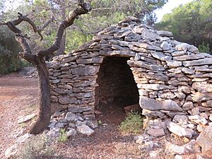 Archivo:Barraca construida con piedras en seco. Parque cultural de la Valltorta-Gasulla