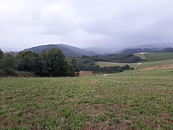Campiello, Asturias 03.jpg