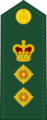 Canadian Army OF-5