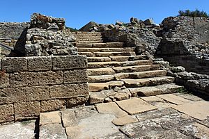 Archivo:Carteia Foro (8)