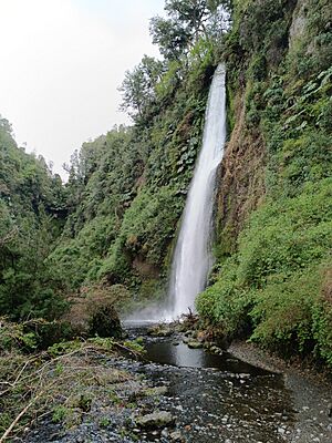 Archivo:Cascada de Tocoihue. Isla Grande de Chiloé. Chile