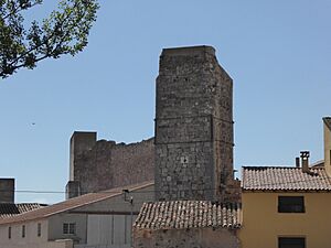 Archivo:Castle of Visiedo 05