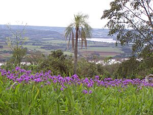 Archivo:Cerromonje4