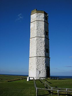 Archivo:Chalk Tower Flamborough Head 058031