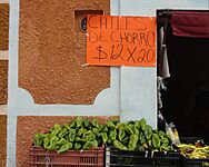 Chiles de chorro - Dolores Hidalgo, Guanajuato, México