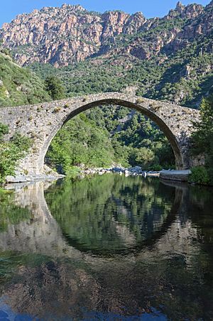 Archivo:Corse Ota pont genois Pianella 2