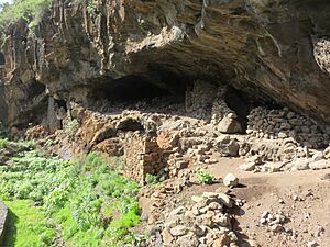 Archivo:Cueva del Tendal 2015-11 10