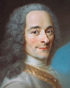 Archivo:D'après Maurice Quentin de La Tour, Portrait de Voltaire, détail du visage (château de Ferney)
