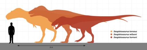 Daspletosaurus Size Comparison