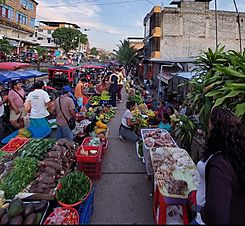 Archivo:Diversidad de productos en el mercado el huequito en Tarapoto