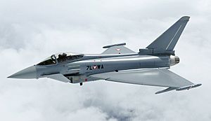 Archivo:Eurofighter Typhoon AUT