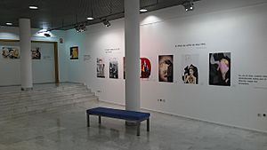 Archivo:Exposición Fernando Fernán Gómez - UCA