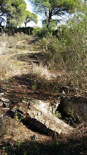 Factoría romana de La Algaida para Niños