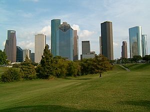 Archivo:Houston Skyline11