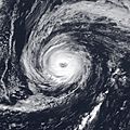 Hurricane Florence Nov 7 1994 1451Z.jpg