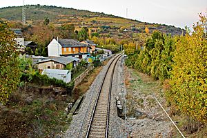Archivo:Línea del ferrocarril atravesando Paradela del Río