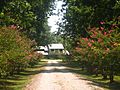 Lakefront home on Lake Bruin, St. Joseph, LA Picture 380