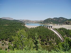 Archivo:Pantano Guadalhorce-Guadalteba