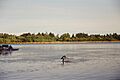 Pareja de cisnes en Laguna Avendaño
