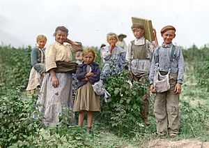 Archivo:Polish berry pickers color