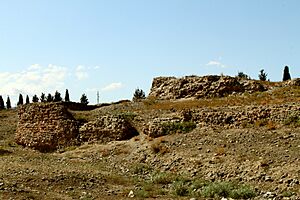 Archivo:Qala divarı qalıqları
