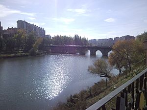Archivo:Río Pisuerga y Puente Mayor en Valladolid